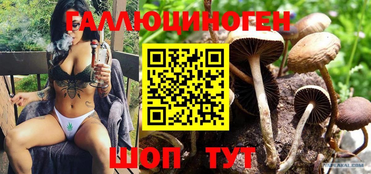 Екатеринбург  купить наркотики сайты  Галлюциногенные грибы ЛСД  Вход с VPN  Галлюциногенные грибы мицелий 