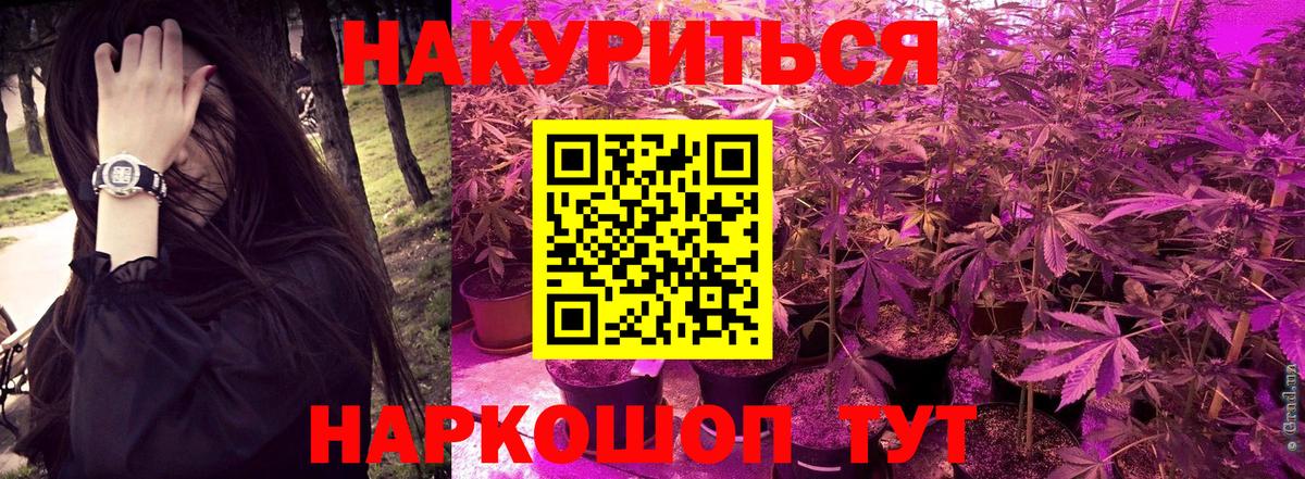 Шишки марихуана White Widow  Вход с VPN  Бошки Шишки план  Екатеринбург  Канабис сатива 